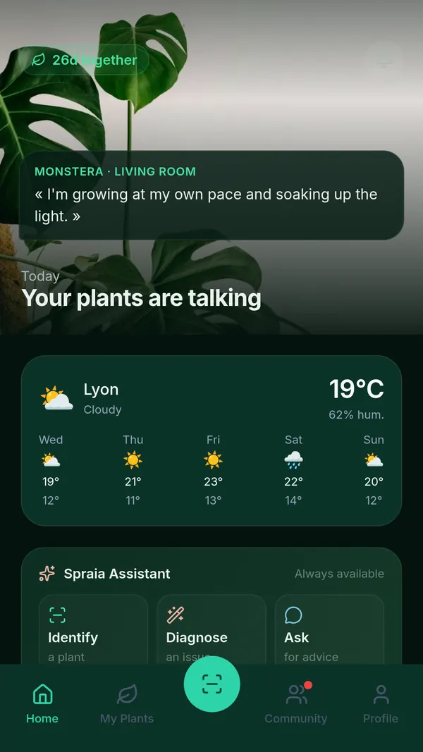 SPRAIA home screen on Android: today’s message from a living-room Monstera, local weather at 19 °C and Identify, Diagnose, Ask shortcuts