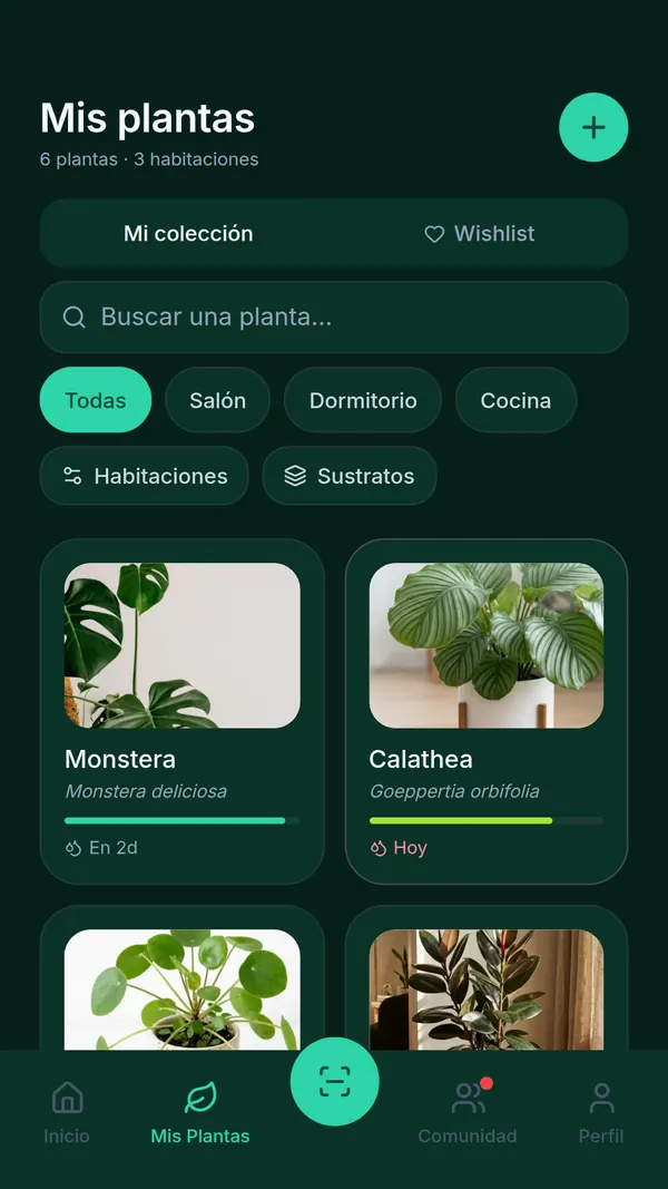 Pantalla Mis plantas de SPRAIA: seis plantas ordenadas por estancia, con filtros Salón, Dormitorio y Cocina e indicadores de riego