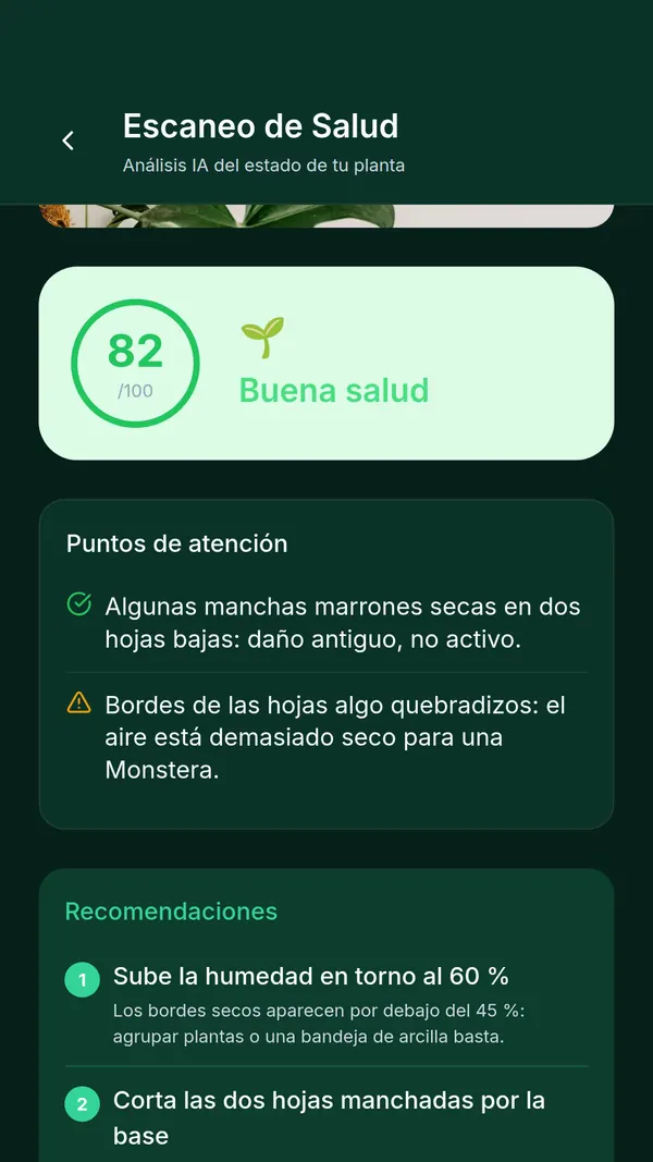 Resultado del escaneo de salud de SPRAIA: puntuación de 82 sobre 100, dos puntos de atención y recomendaciones numeradas