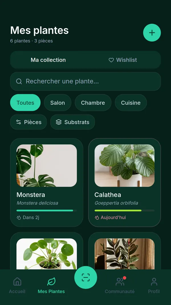 Écran Ma collection de SPRAIA : six plantes classées par pièce, filtres Salon, Chambre, Cuisine et badges d’arrosage