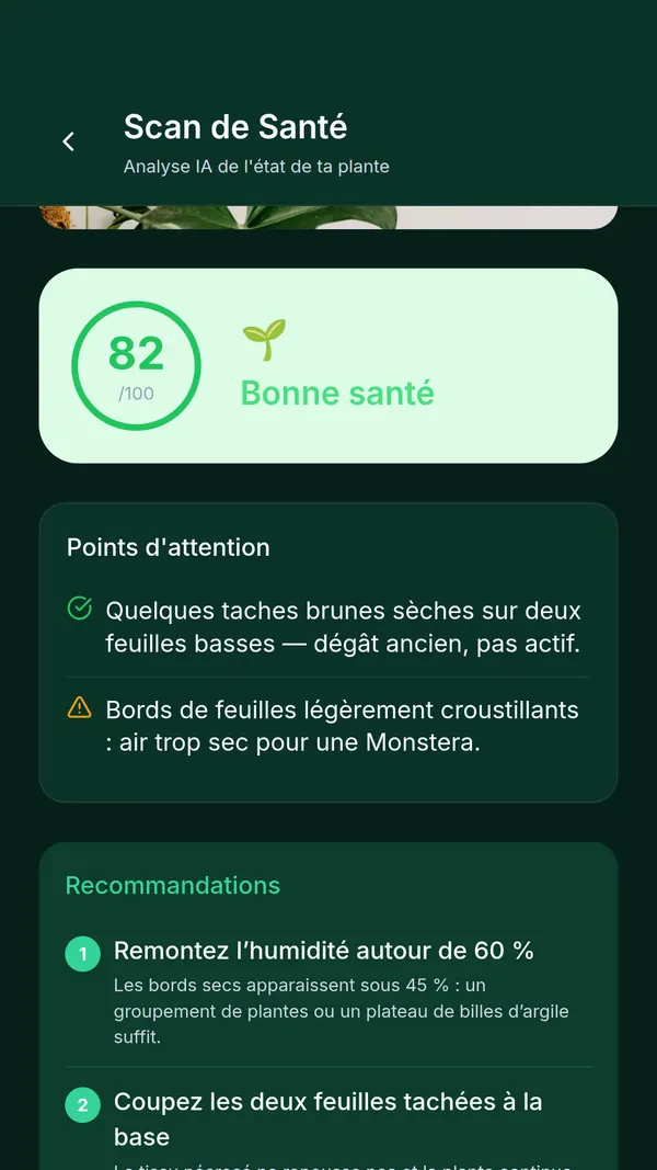 Résultat du scan de santé SPRAIA : score de 82 sur 100, deux points d’attention et recommandations numérotées
